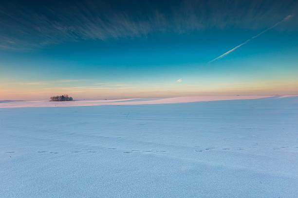 istock Beautiful cold morning on snowy winter countryside. 516960160