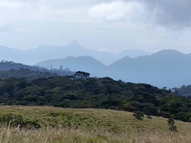 Photo of Horton Plains- Unesco world heritage