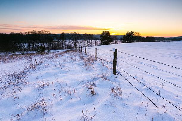 istock Beautiful winter fields with barbed wire fence 516978320