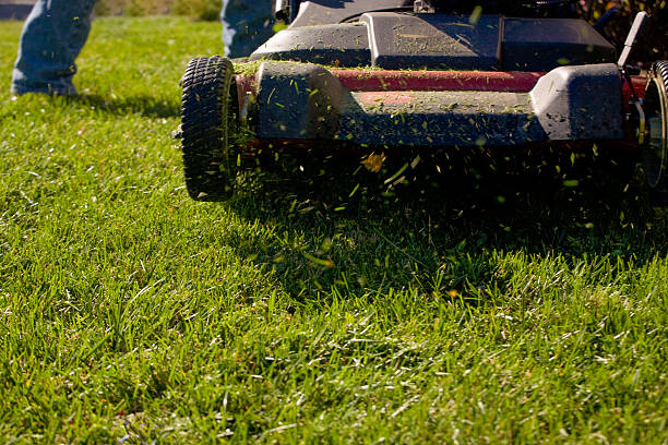 istock Front view of a Lawnmower cutting grass 516981183