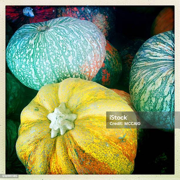 Pumpkins Stock Photo - Download Image Now - Autumn, Close-up, Decoration