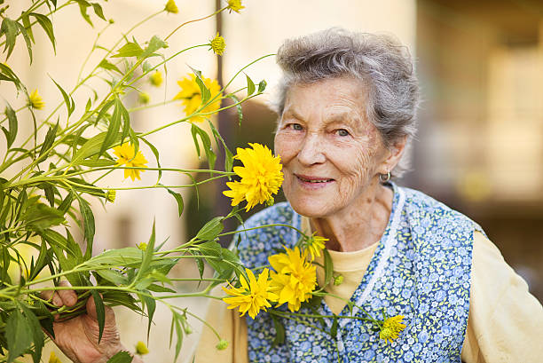 istock Senior woman in garden 516981445