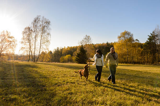 Casal caminhada cão no campo de outono ao pôr-do-sol - foto de acervo