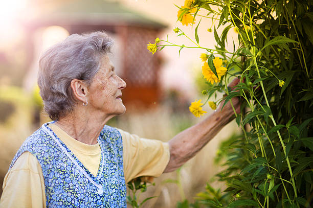 istock Senior woman in garden 516981623