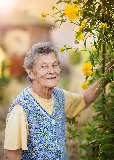 istock Senior woman in garden 516981905