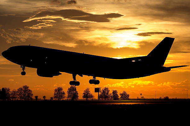 Big wide body Airbus landing in the sunset