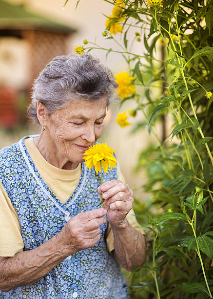 istock Senior woman in garden 516982001