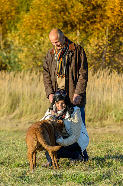 istock Couple playing with dog sunny autumn park 516982653