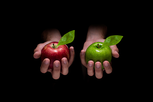 Hands holding red and green apples