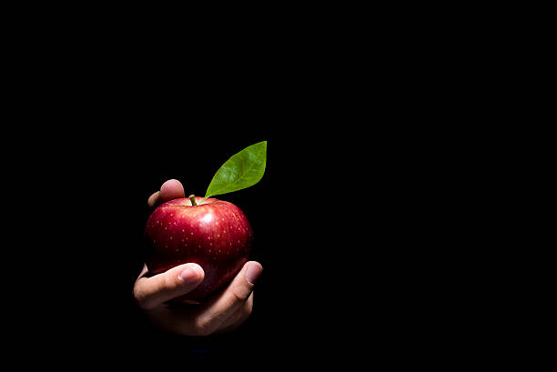 Hand offering an apple. Hand offering a red apple on a black background. temptation stock pictures, royalty-free photos & images