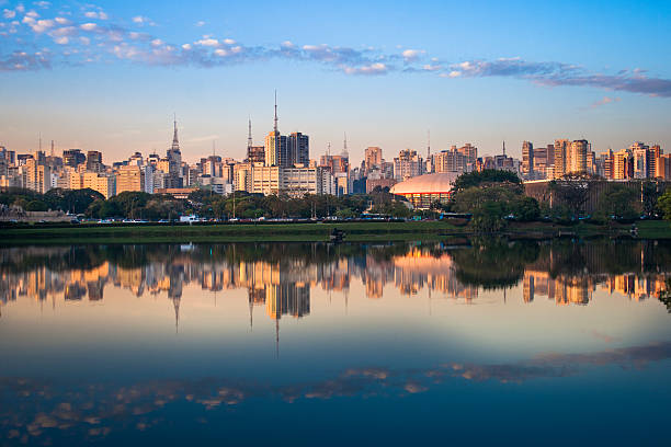 Skyline of Sao Paulo, Brazil View of Sao Paulo city from Ibirapuera Park. The Ibirapuera is one of Latin America largest city parks. Brazil são paulo state stock pictures, royalty-free photos & images