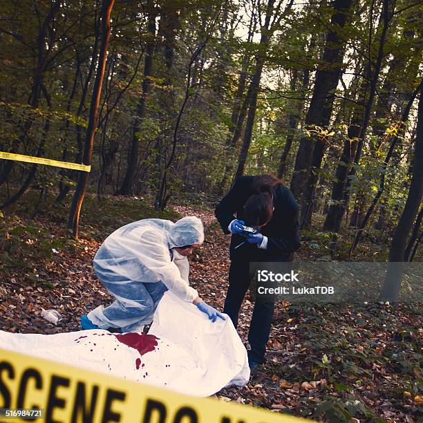 Crime Scene Investigation Stock Photo - Download Image Now - Activity, Adult, Adults Only