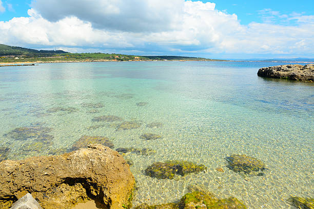 istock yellow rocks by the sea in Alghero 516985282