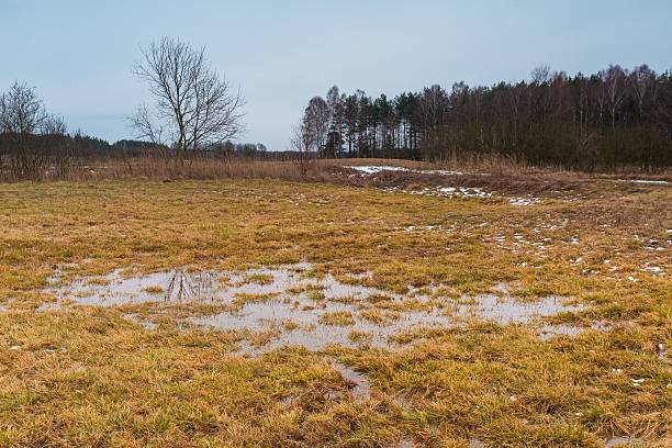 istock Early spring landscape of grassland and puddle under cloudy sky 516986136