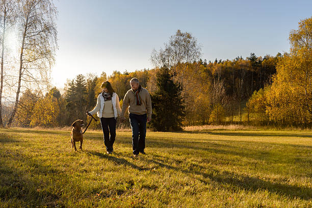 istock Couple walking dog autumn sunset landscape 516986197