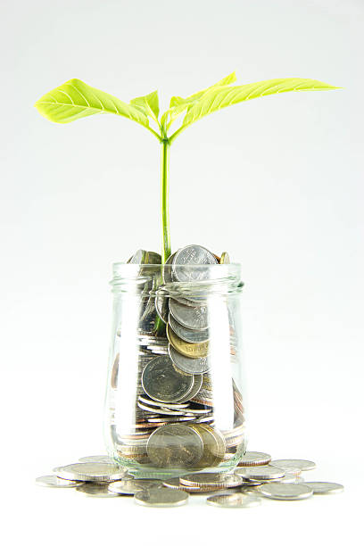 istock Growing plant with coin money 516986351