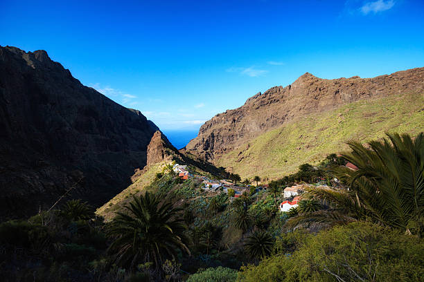 istock Beautiful Tenerife landscape - Masca Village 516986358