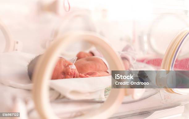 Premature Newborn Baby Girl Stock Photo - Download Image Now - Premature, Baby - Human Age, Neonatal Intensive Care Unit