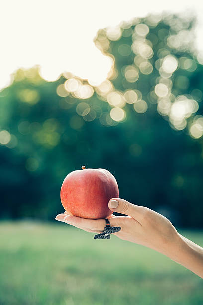 istock Female hand holding an apple 516989182