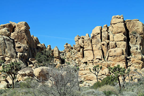 istock Rock Formations at Joshua Tree National Park 517004042