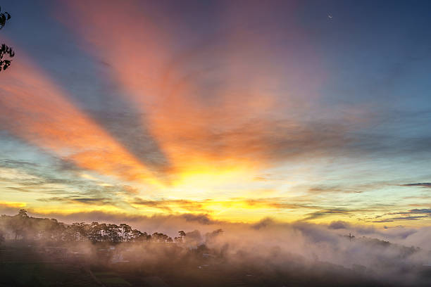 istock Sunrise in highlands of Dalat 517010210