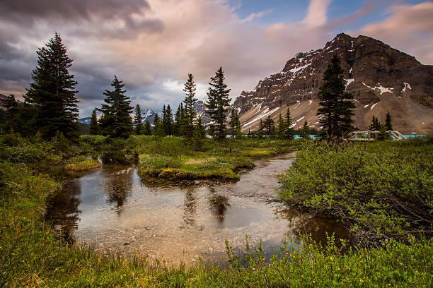 istock Landscape by Bow Lake, Canada 517011038