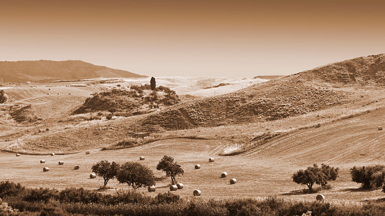 Landscape of Sicily with Many Hay Bales, Vintage Style Sepia