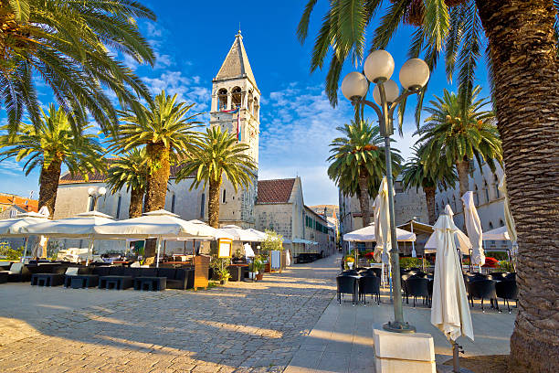 stadt trogir palm promenade - europe pine tree sea adriatic sea stock-fotos und bilder