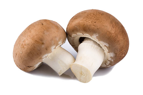 istock champignon mushroom isolated on white background 517016843