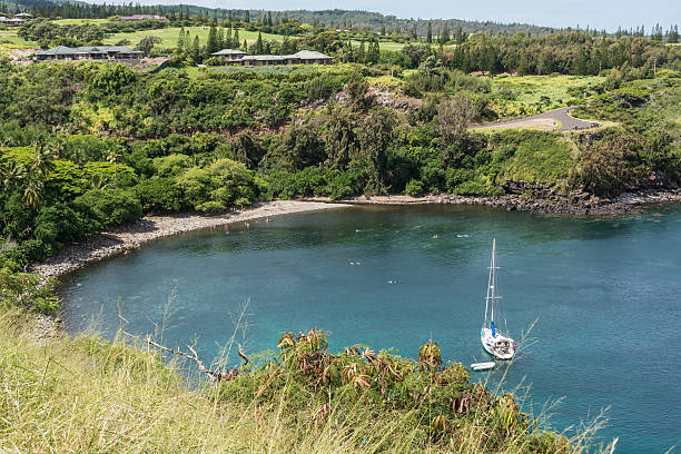 istock The bay in Kapalua, Hawaii 517016959