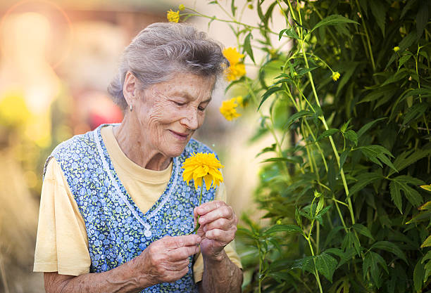 istock Senior woman in garden 517017409