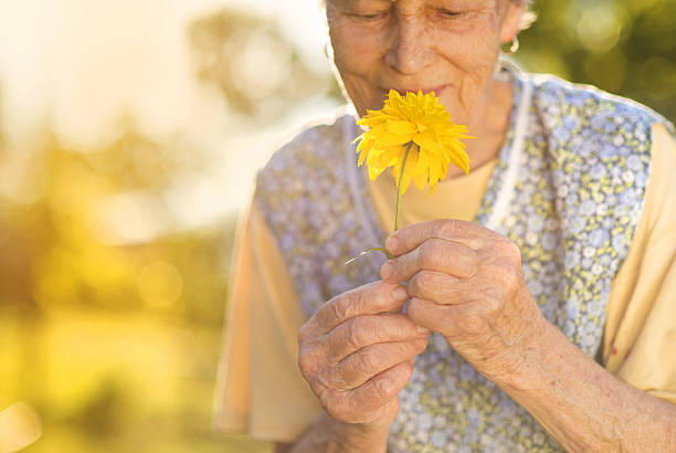 istock Senior woman in garden 517017419