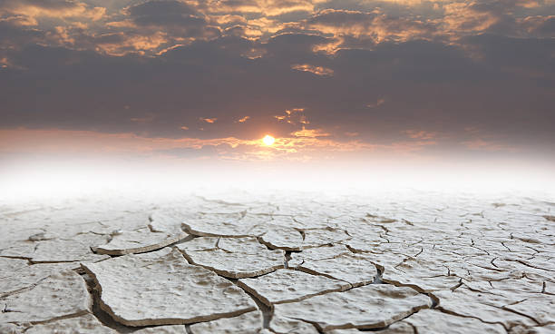 istock The ground and the sky 517017780