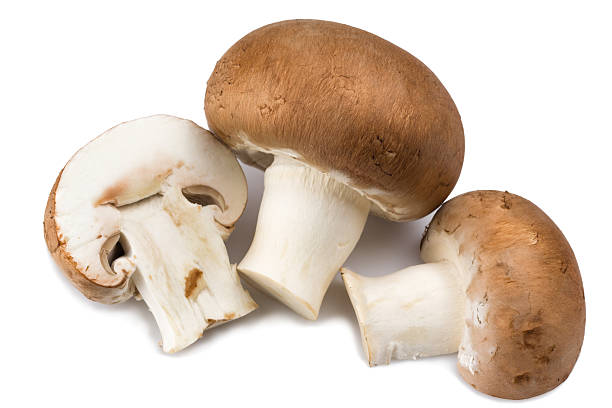 istock champignon mushroom isolated on white background 517017783