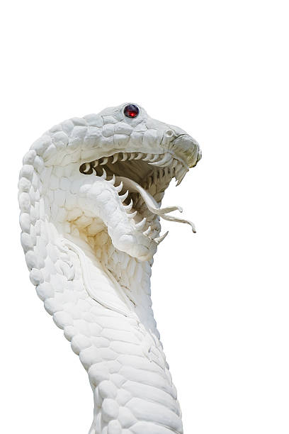 istock Cobra Snake Statue isolated on white 517019259
