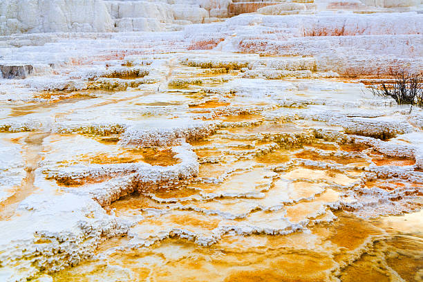 istock Minerva Terrace in Mammoth Hot Springs 517019807