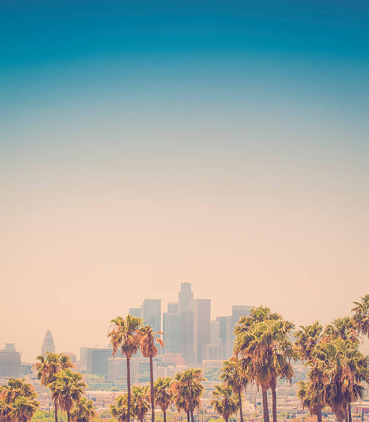 istock Los Angeles California 517020393
