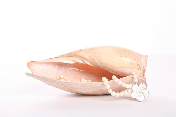 Pink seashell with pink pearl necklace with flower inside