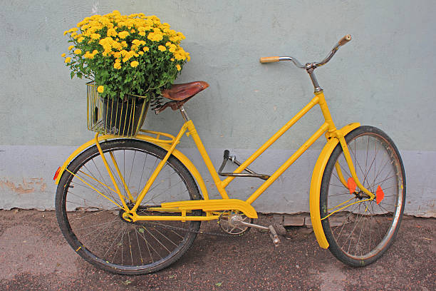 istock Retro bike  with flowers 517043708
