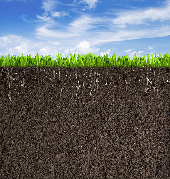 istock Soil or dirt section with grass under sky as background 517043804