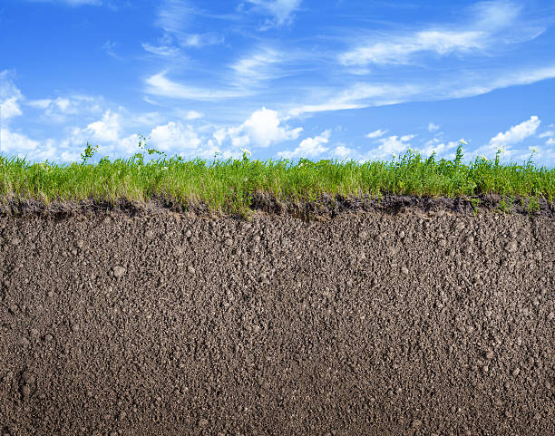 istock Soil ground, grass and sky nature background 517043920
