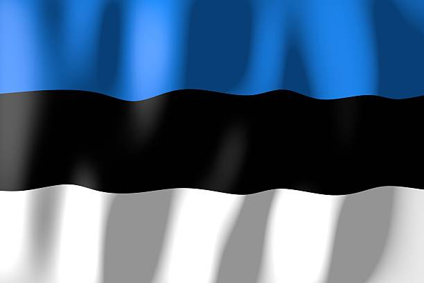 istock Flag of Estonia 517044390