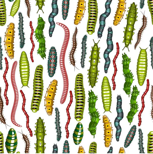 Vector illustration of Worm and caterpillar insects seamless pattern