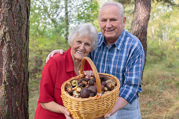 Senior couple picking mushrooms in the forest