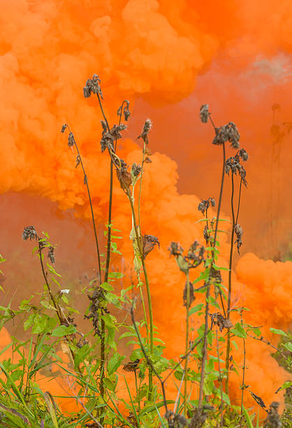 istock Orange smoke of smoke bombs. 517047389