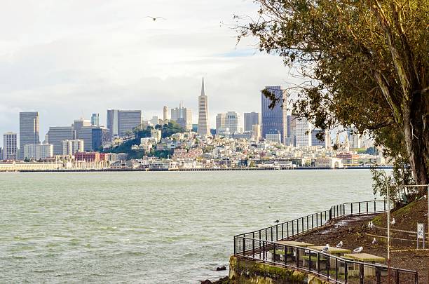 istock San Francisco skyline, California 517048266