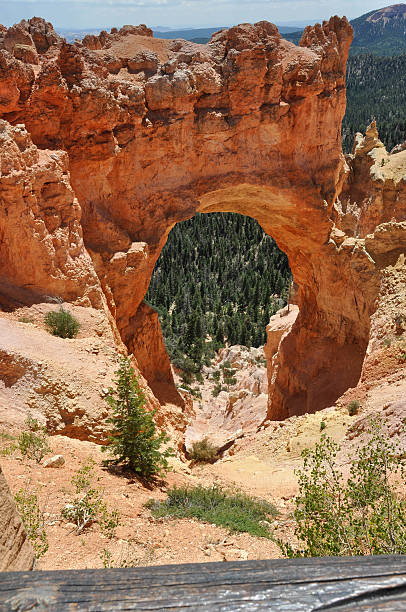 istock The Bryce Canyon National Park 517048579