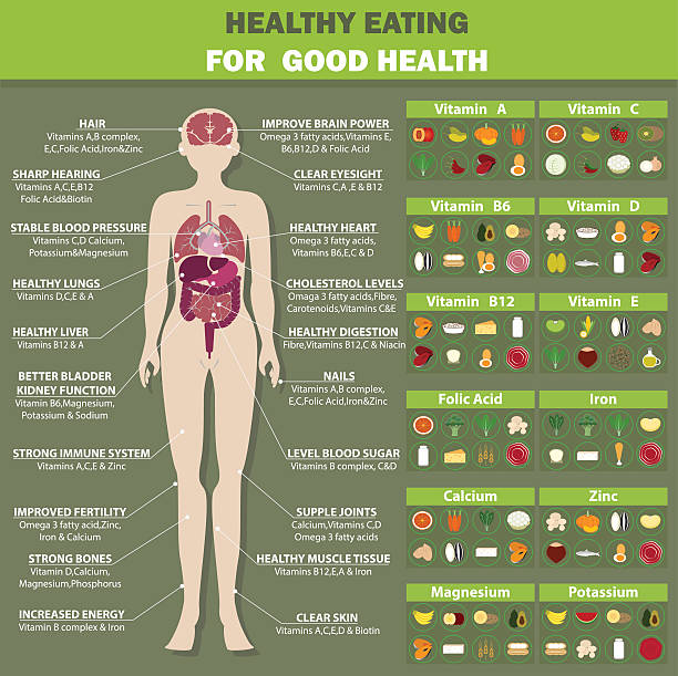 건강한 식사 알맞음 보건의료기관이 - weight reduction plan stock illustrations