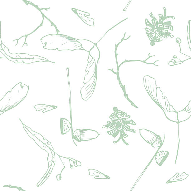 seamless pattern with twigs, seeds and acorns seamless pattern with twigs and seeds, acorns  and pine cones, hand drawn vector illustration linden new jersey stock illustrations