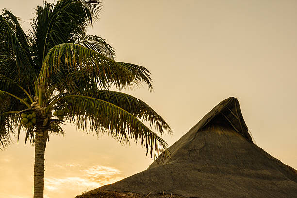 Palm trees rise above the thatched roofs of beach huts, creating a picturesque tropical setting. The vibrant blue sky enhances the serene atmosphere, perfect for relaxation.